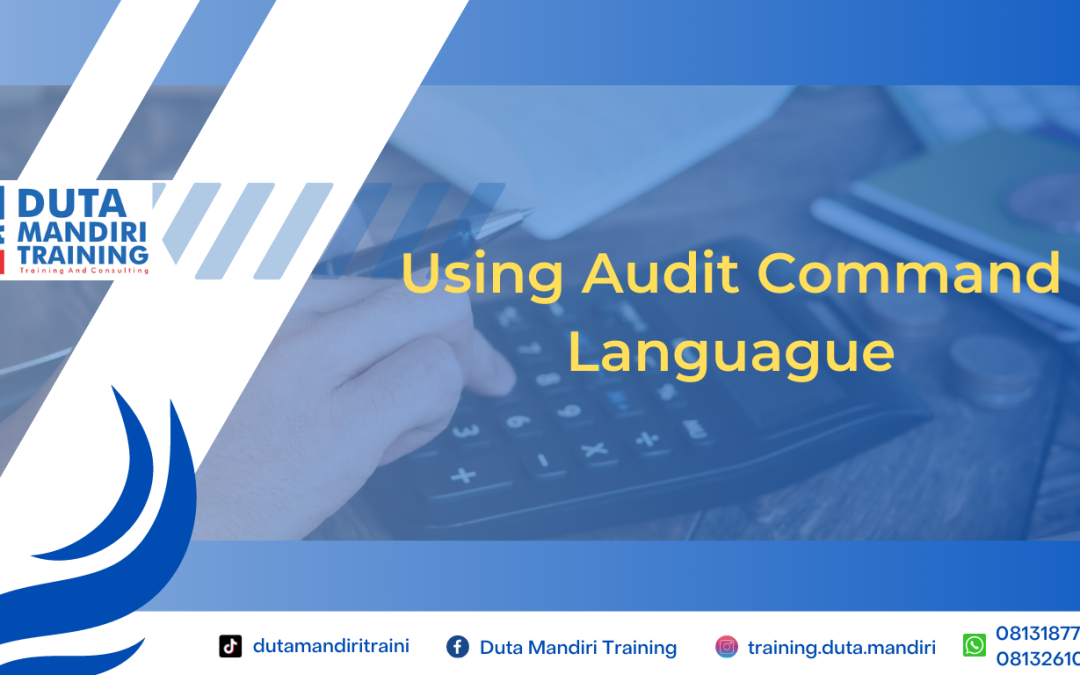 Using Audit Command Languague